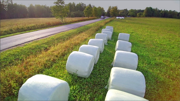 Rolls of White Haystacks on the Side of the Road