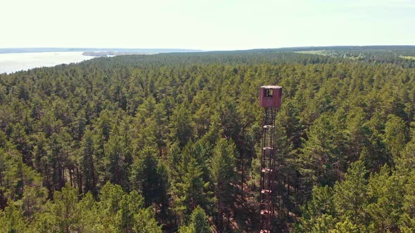 High Landmark Tower Building in the Forest - Vast View alt