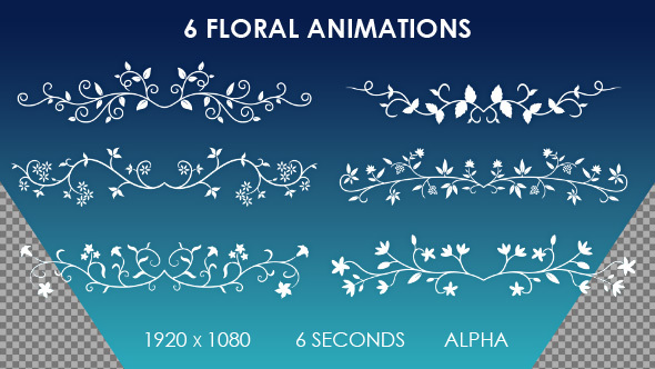 6 Floral Ornamental Animations