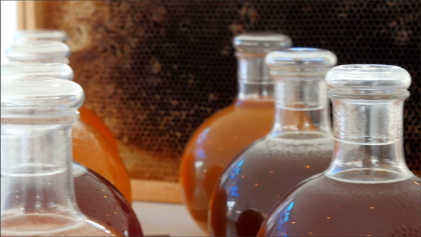 Honeys Found Inside the Bottle in the Exhibit
