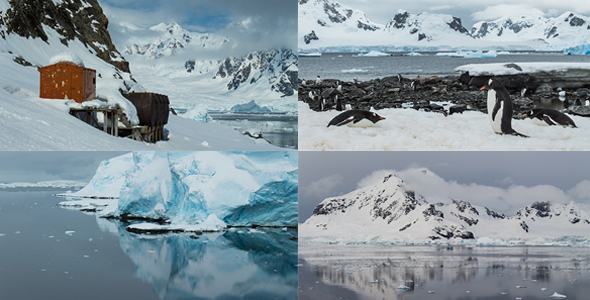 Sights of Antarctica 4 Pack
