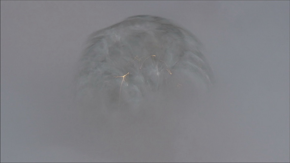 A Boiling Bubble from the Hot Water