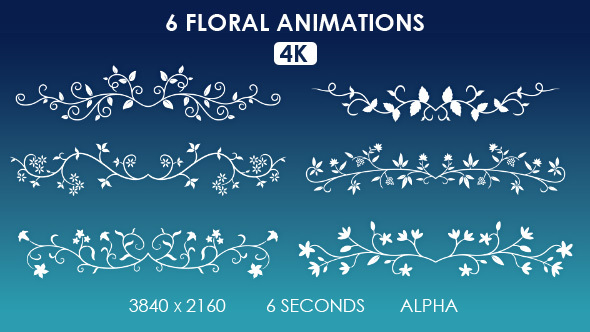 6 Floral Ornamental Animations - 4K