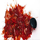 Jar Of Pasta Sauce Smashes On White Surface - VideoHive Item for Sale