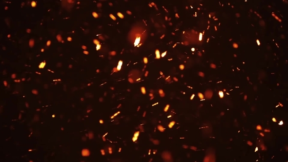 Particle Motion