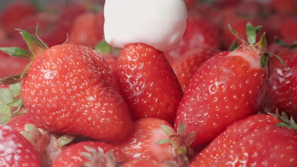 Fresh strawberries are drizzled with cream. Yogurt dripping on strawberries. Organic ripe strawberry