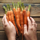 Placing A Bunch Of Baby Carrots On Wooden Table - VideoHive Item for Sale