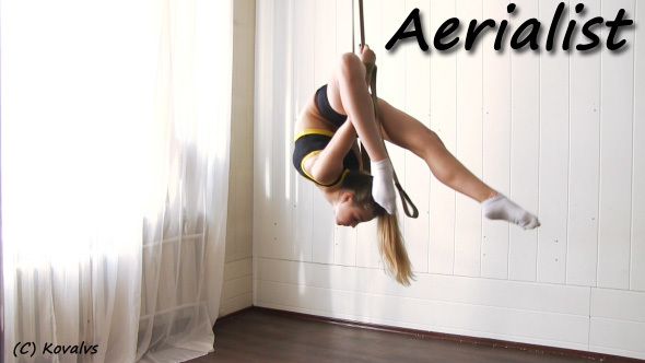 Aerial Gymnast Workout