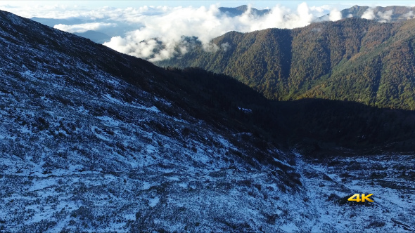 Aerial First Snow in Forest alt