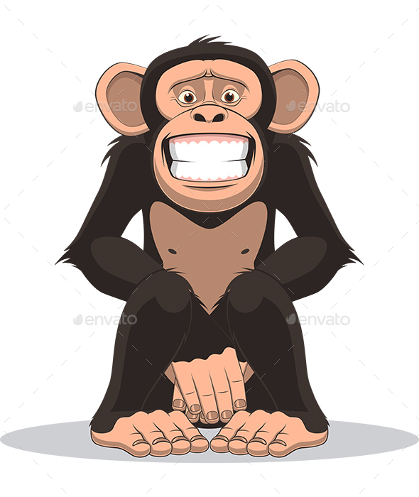 Monkey - Animals Characters