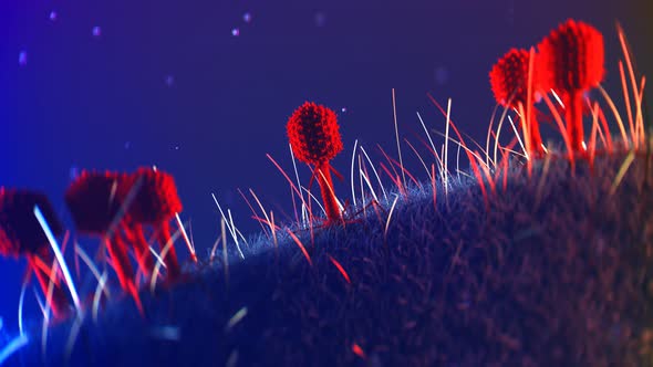 Many bacteriophages or phages surrounding and infecting single bacterium. alt