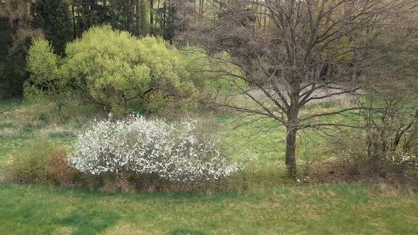panning camera move over spring landscape