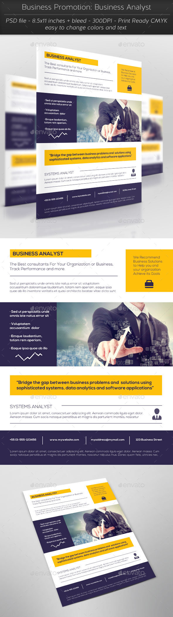Business Promotion: Business Analyst - Flyers Print Templates