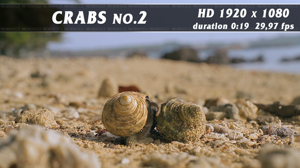 Crabs No.2