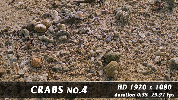 Crabs No.4