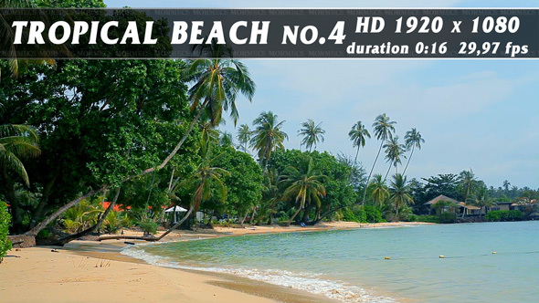 Tropical Beach no.4 alt