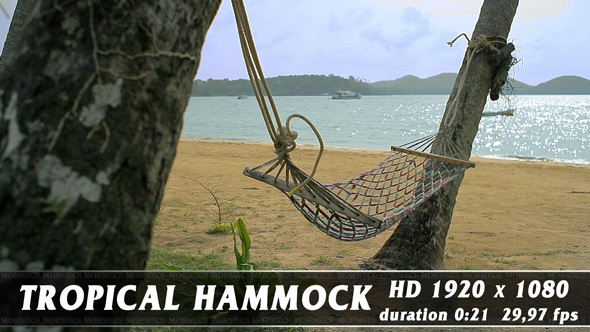 Tropical Hammock