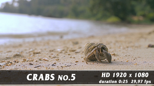 Crabs No.5