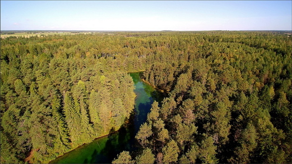 Aerial Shot of the Green Forest in Antu Estonia