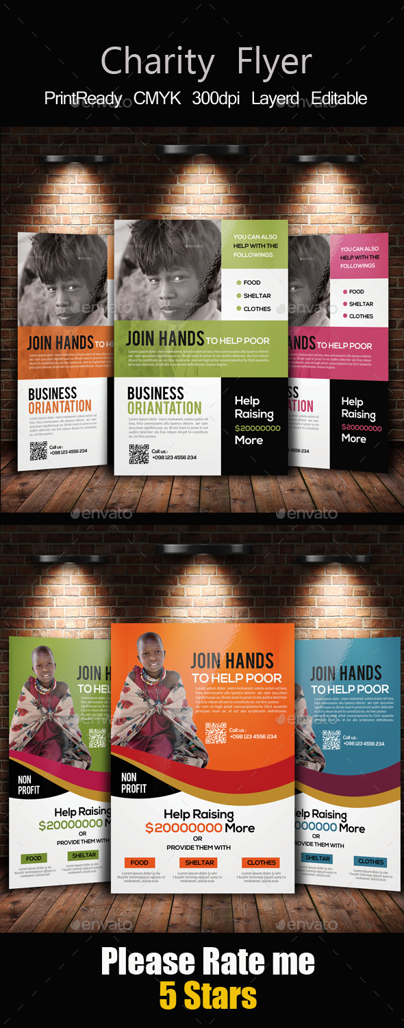 Non Profit Fund Raising Flyer & Ad Bundle - Corporate Flyers