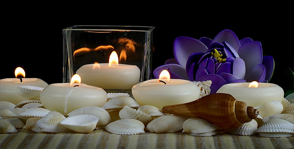 Spa Concept with Seashells and Waterlily