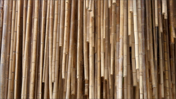 The Hanging Bamboos in One of the Participant in the Expo Event