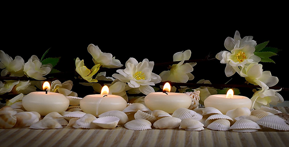 Spa Concept with Seashells and Flowers