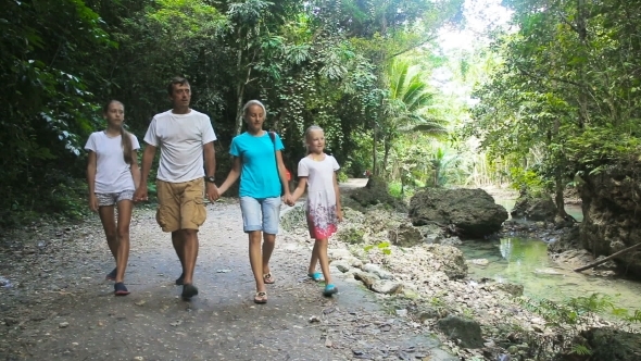 Family Walks On The Walkway In Rainforest alt