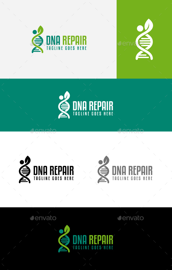 DNA Repair - Symbols Logo Templates