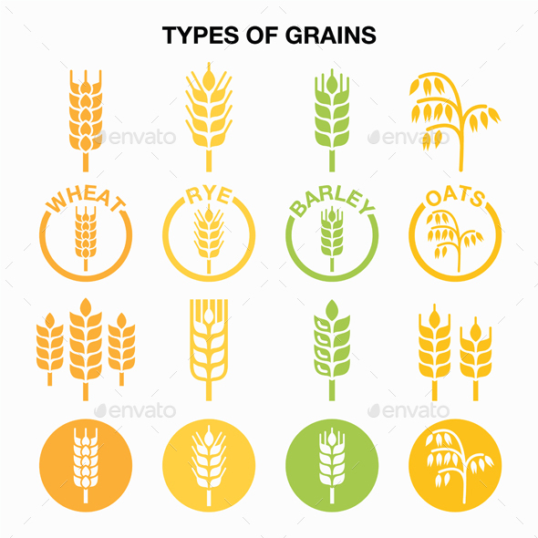 Types of Grains - Food Objects