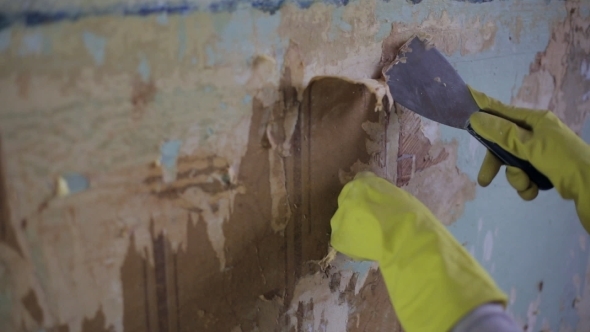 Removing Old Wallpaper