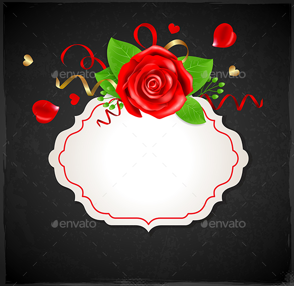 Banner with Red Rose - Backgrounds Decorative