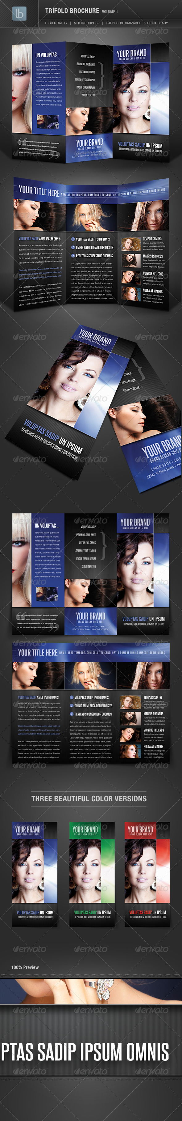 Trifold Brochure | Volume 1