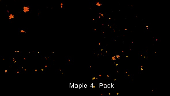 Falling Maple Leaves 4 pack alt