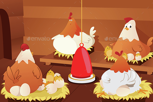 Chicken Hatching Eggs - Animals Characters