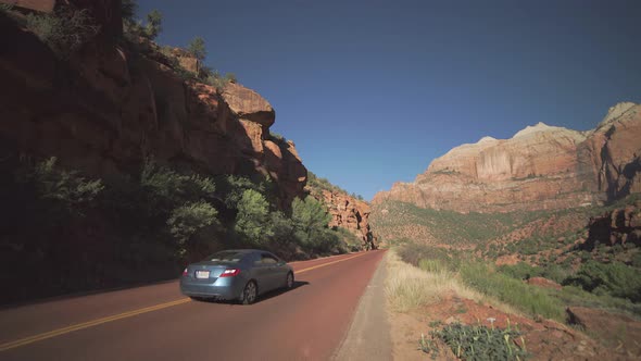 Roadside Scene In Zion National Park 2