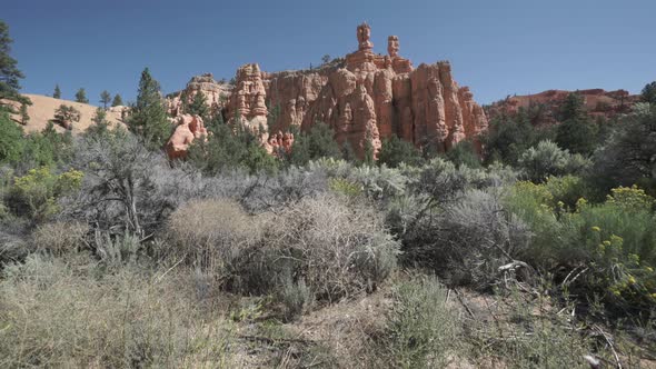 Scene Of Bryce Canyon National Park 4 alt