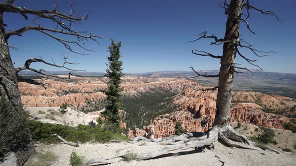 Crane Shot In Or Near Bryce Canyon National Park 5 alt