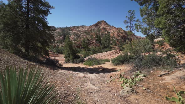 Crane Shot In Zion National Park 1 alt