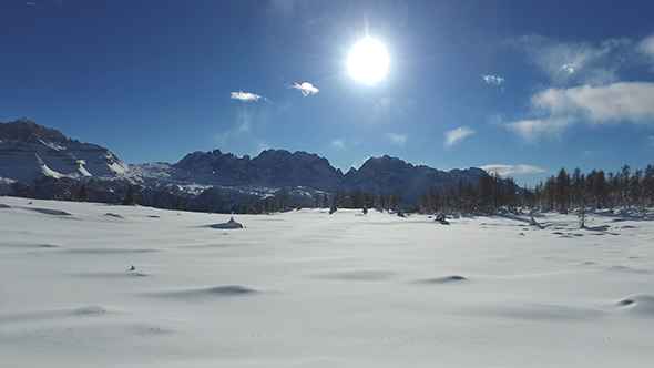 Sunny Winter Landscape