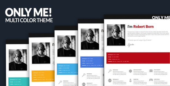 Excellent Only Me - Personal & Responsive Template