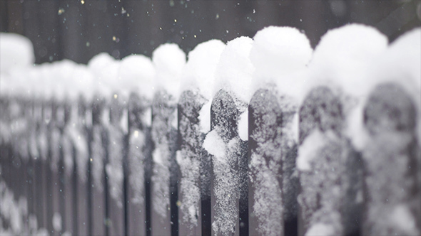 Snow Covered Fence