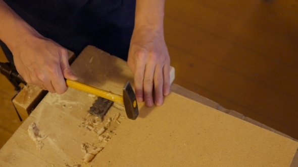 Carpenter Labor Master Work With Wood