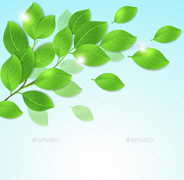 Branch with Green Leaves - Flowers & Plants Nature