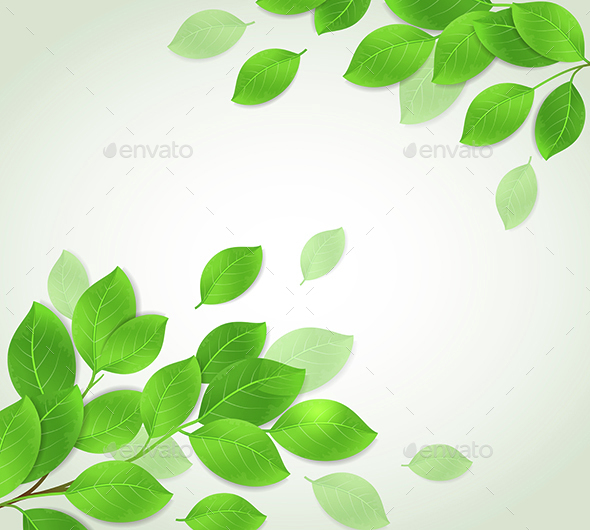 Background with Green Branch - Flowers & Plants Nature