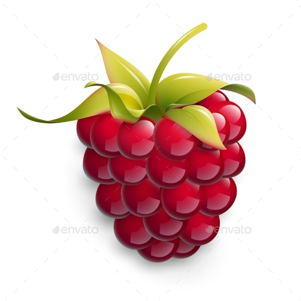 Vector Illustration Of Ripe Raspberry. - Food Objects