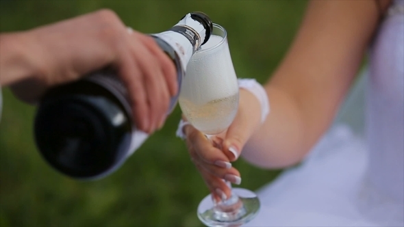 Bride And Groom On a Green Meadow In Summer Day alt