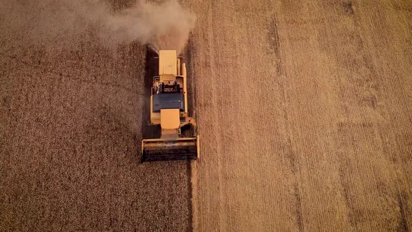 Wheat Harvest Machine Aerial