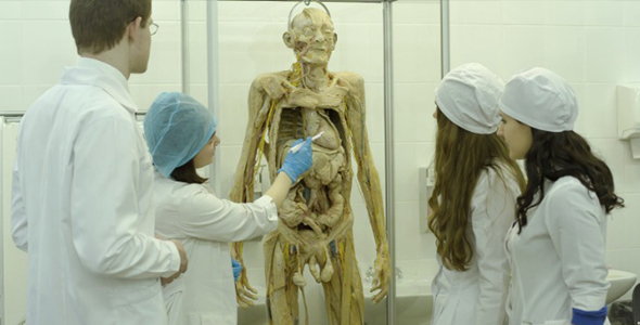 The Study of Body Composition alt