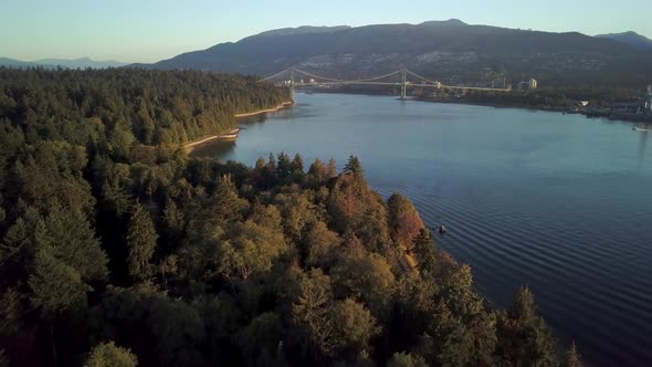 Green Forest At The Stanley Park Overlooking The Lions Gate Bridge Over The Burrard Inlet In Vancouv alt